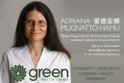 Toronto candidate's list of reasons for entering federal election Toronto candidate's list of reasons for entering federal election
