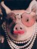 A pig wearing lipstick and pearls.