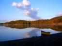 Sky, woods, lake