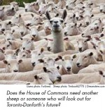 Does the House of Commons need another sheep or someone who will look out for Toronto-Danforth's future?